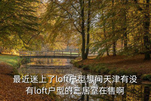 最近迷上了loft戶型想問天津有沒有loft戶型的三居室在售啊