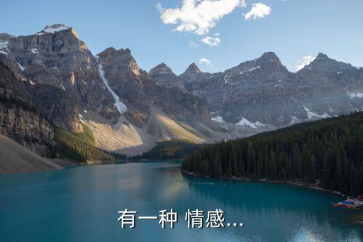 另類情感故事,情感綻放劇《搖滾櫻花》開播講述小眾故事