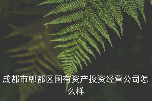 成都市郫都區國有資產投資經營公司怎么樣