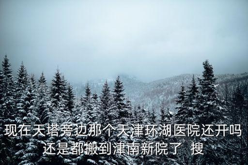 現在天塔旁邊那個天津環湖醫院還開嗎還是都搬到津南新院了  搜