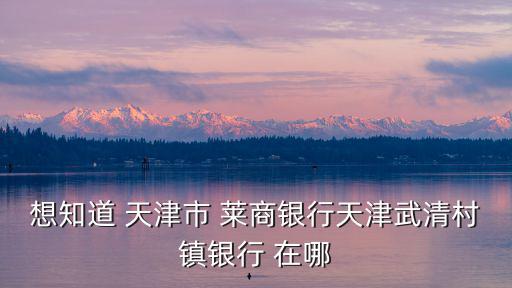 天津市武清區萊商銀行，萊商銀行新總部位置在哪