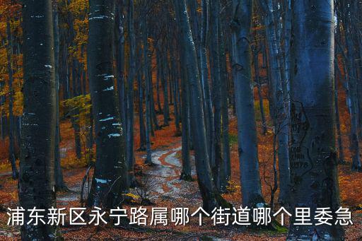 天津市永寧路是哪個街道，浦東新區(qū)永寧路屬哪個街道哪個里委急