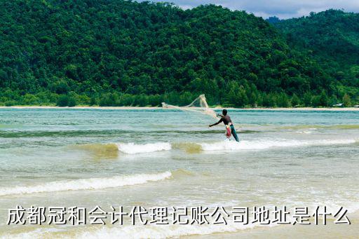 成都市青羊區(qū)代理記賬，成都代理記賬公司那家好