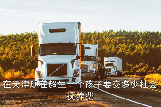 天津市社會撫養(yǎng)費征收，天津社會撫養(yǎng)費是多少