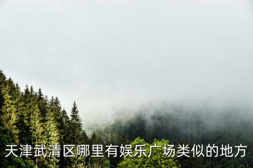 天津武清區(qū)哪里有娛樂廣場類似的地方