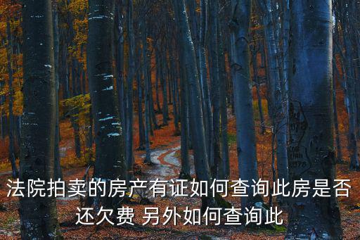 法院拍賣的房產有證如何查詢此房是否還欠費 另外如何查詢此