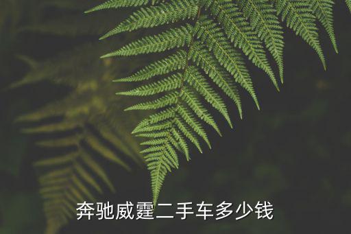 天津市二手奔馳smt，奔馳smt價(jià)格是多少自動(dòng)檔的價(jià)格最低多少