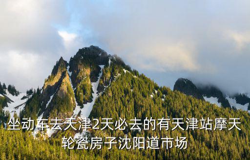 坐動車去天津2天必去的有天津站摩天輪瓷房子沈陽道市場