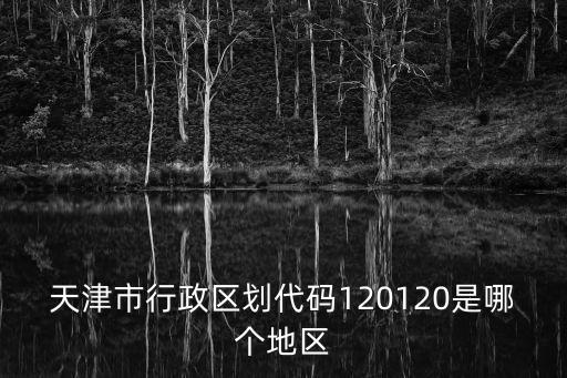 天津市行政區劃代碼120120是哪個地區