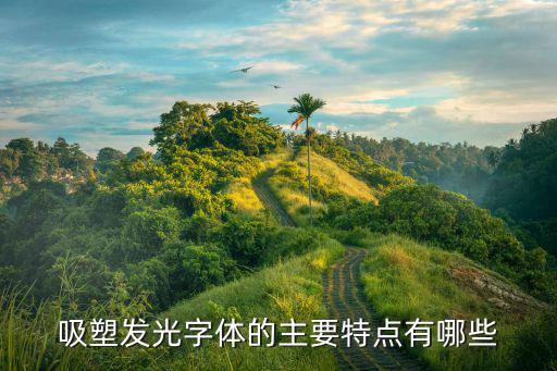 吸塑發光字體的主要特點有哪些