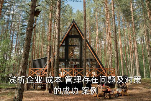 淺析企業(yè) 成本 管理存在問題及對策的成功 案例