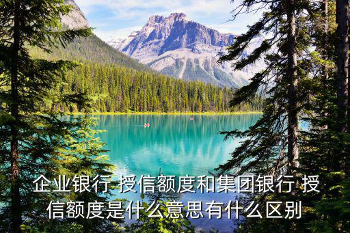  企業(yè)銀行 授信額度和集團(tuán)銀行 授信額度是什么意思有什么區(qū)別