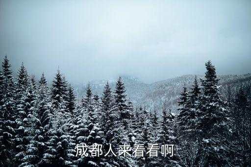 成都市聚萃街圖片，成都的朋友來看看這個地方是哪