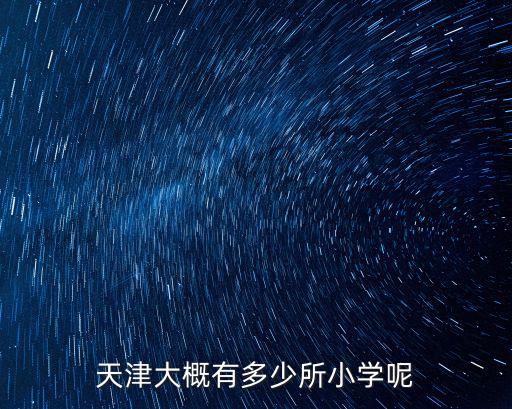 天津大概有多少所小學呢