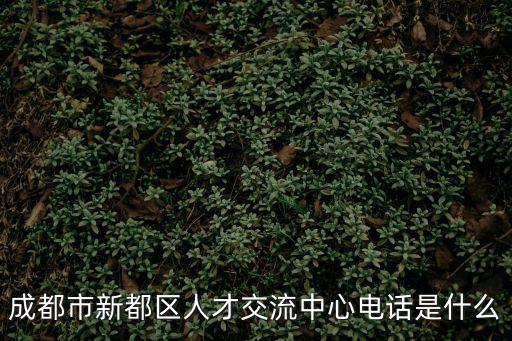 成都市新都區(qū)人才交流中心電話(huà)是什么
