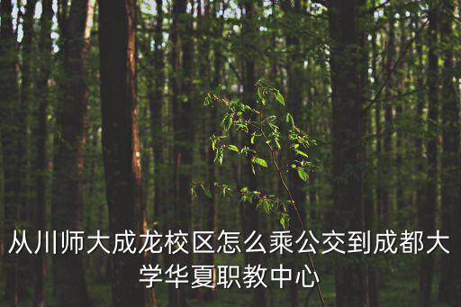從川師大成龍校區怎么乘公交到成都大學華夏職教中心