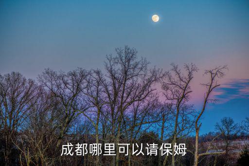 成都哪里可以請(qǐng)保姆