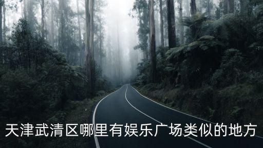 天津市武清區萬達廣場榮和堂，天津武清有幾個商場