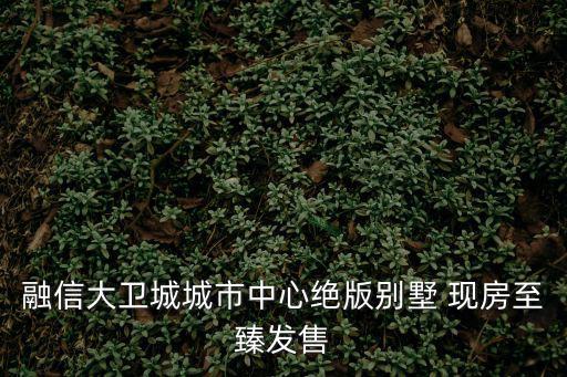 融信大衛(wèi)城城市中心絕版別墅 現(xiàn)房至臻發(fā)售