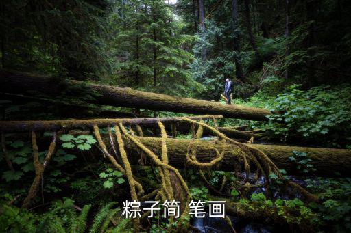 粽子簡(jiǎn) 筆畫