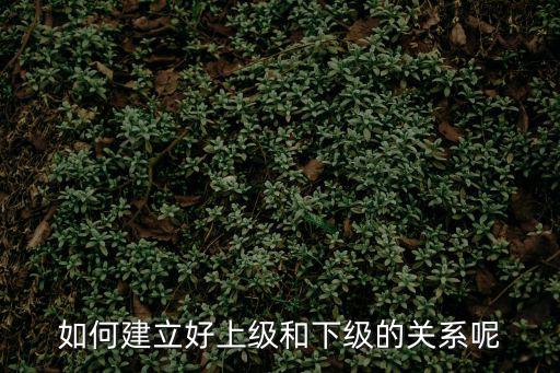 如何建立好上級和下級的關系呢