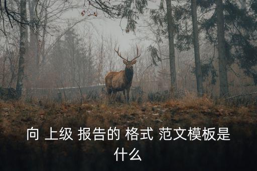 向 上級 報告的 格式 范文模板是什么