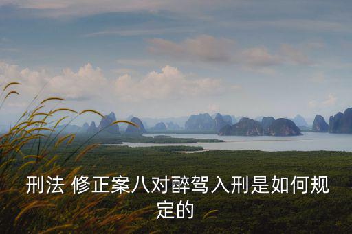  刑法 修正案八對醉駕入刑是如何規定的