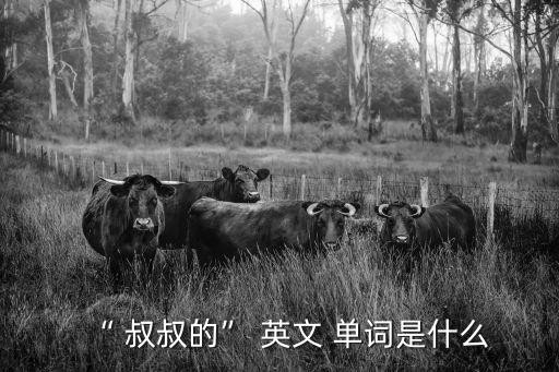 “ 叔叔的” 英文 單詞是什么