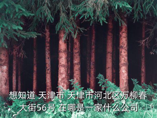 想知道 天津市 天津市河北區萬柳春大街56號 在哪是一家什么公司