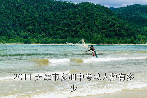 2011 天津市參加中考總?cè)藬?shù)有多少