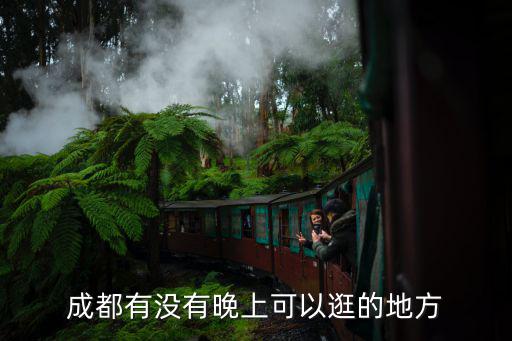 成都市新都區適合晚上逛的公園，成都有沒有晚上可以逛的地方