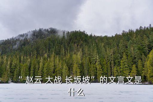 “ 趙云 大戰(zhàn) 長坂坡”的文言文是什么