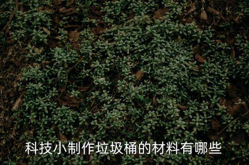科技小制作垃圾桶的材料有哪些
