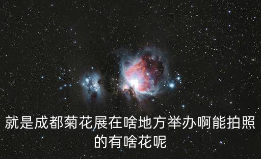 成都市有哪個(gè)公園有菊展或花展，成都市今年菊花展在哪里