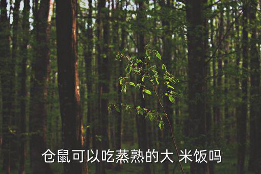  倉鼠可以吃蒸熟的大 米飯嗎