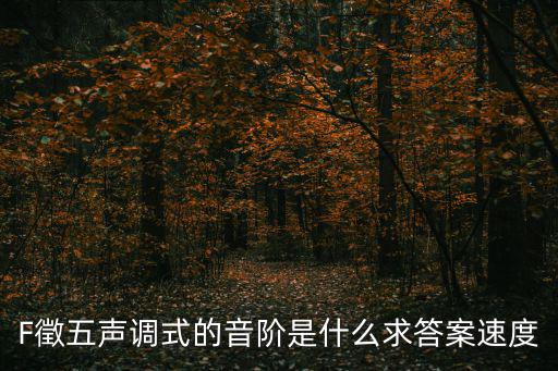 F徵五聲調式的音階是什么求答案速度