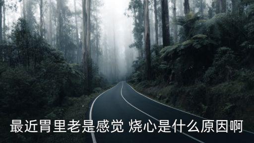 最近胃里老是感覺 燒心是什么原因啊