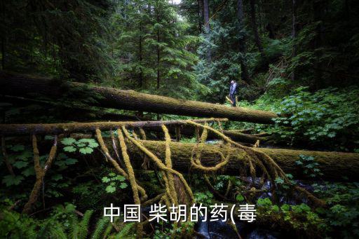 中國柴胡,柴胡提取物靜脈注射最小致死量為100mg/kg