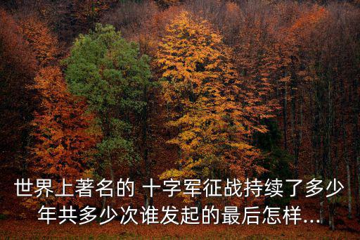 第一次十字軍東征,十字軍東征埃及圣城耶路撒冷