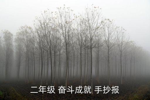 二年級 奮斗成就 手抄報