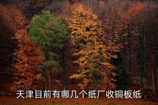 天津市立遒紙業(yè)有限公司，天津目前有哪幾個(gè)紙廠收銅板紙