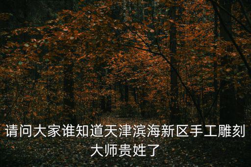 請問大家誰知道天津濱海新區手工雕刻大師貴姓了