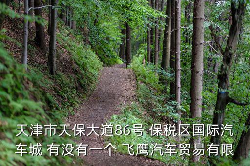天津市天保大道86號 保稅區國際汽車城 有沒有一個 飛鷹汽車貿易有限