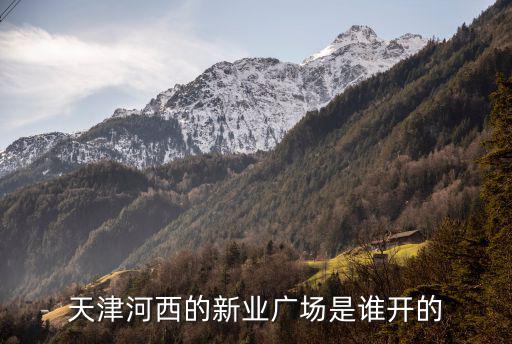 天津河西的新業廣場是誰開的