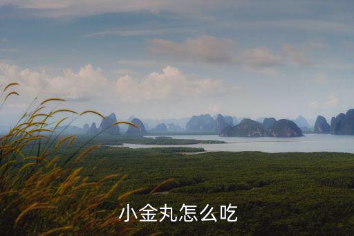  小金丸怎么吃