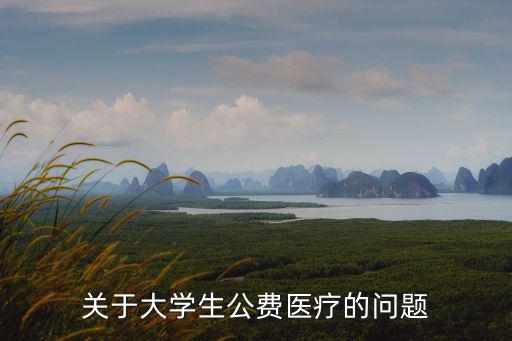 關于大學生公費醫療的問題