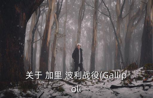 關(guān)于 加里 波利戰(zhàn)役(Gallipoli