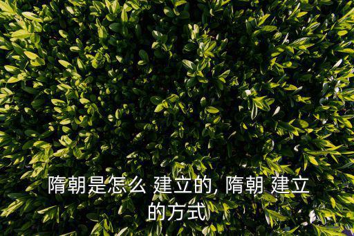  隋朝是怎么 建立的, 隋朝 建立的方式