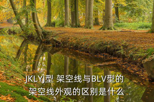 JKLYJ型 架空線與BLV型的 架空線外觀的區別是什么