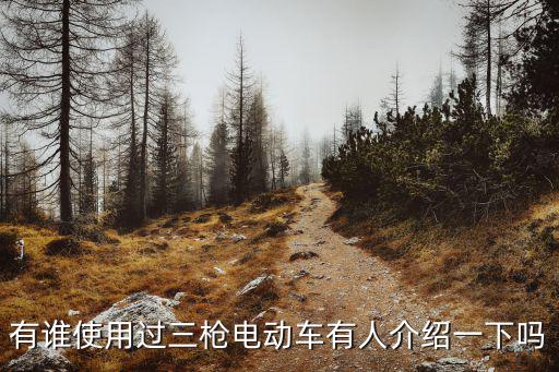 有誰使用過三槍電動(dòng)車有人介紹一下嗎